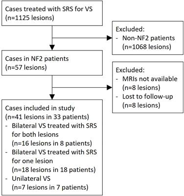 Vestibular schwannoma associated with neurofibromatosis type 2: Clinical course following stereotactic radiosurgery